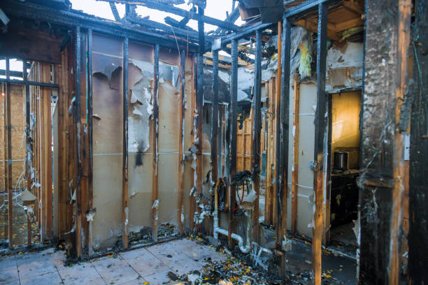 Professional Odor Removal technician working in Hooverson Heights, WV